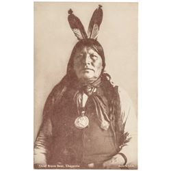 Chief Brave Bear, Cheyenne Wearing a President James Garfield Indian Peace Medal