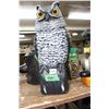 Image 1 : Motion Owl