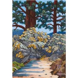 Helmuth Naumer | Chamisas