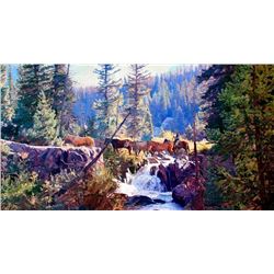 Wayne Justus | A Cowboys Fringe Benefit