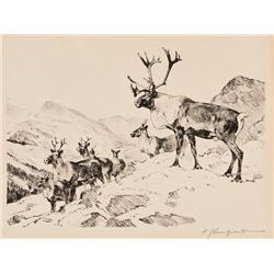 Carl Clemens Moritz Rungius | Mountain Caribou