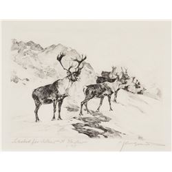 Carl Clemens Moritz Rungius | Osbourne Caribou