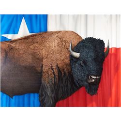 Tom Palmore | Great American Buffalo