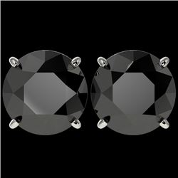 5.15 CTW Fancy Black VS Diamond Solitaire Stud Earrings 10K White Gold - REF-120T5X - 36714