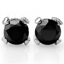 4.0 CTW Vs Certified Black & White Diamond Solitaire Stud Earrings 18K White Gold - REF-115R8K - 118