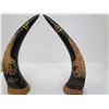 Image 1 : Pair of carved eagle horns 10 1/2"