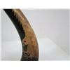 Image 2 : Pair of carved eagle horns 10 1/2"