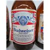 Image 3 : Europa, Budweiser, Bohemian Beer Bottles