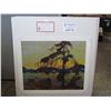 Image 1 : "Jack Pine" Tom Thomson Group Of Seven Limited Edition Certified #30/777