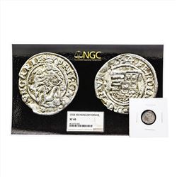 1654 KB Hungary Ferdinand I - Madonna & Child Silver Denar Coin NGC XF40