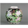 Image 1 : Chinese Famille Verte Porcelain Jar with Mark