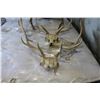 Image 1 : THREE LARGE SKULLS WITH ANTLERS