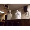 Image 1 : MANNIQUIN BUSTS - 3 TTL