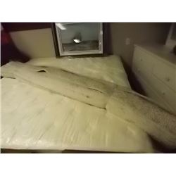 AREA CARPET - TURKISH  - LARGE - 8 X 12'