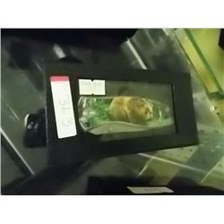 NEW FOLDING KNIFE WITH BEAR IMAGE