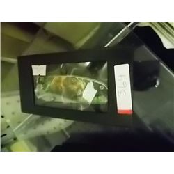 NEW FOLDING KNIFE - BEAR IMAGE