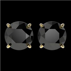 2.60 CTW Fancy Black VS Diamond Solitaire Stud Earrings 10K Yellow Gold - REF-64R2K - 36685