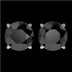 2.50 CTW Fancy Black VS Diamond Solitaire Stud Earrings 10K White Gold - REF-62N2Y - 33103