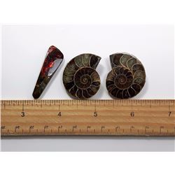 #6 - LOT OF 2 MATCHED AMMONITE SPECIMENS