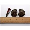 Image 1 : #6 - LOT OF 2 MATCHED AMMONITE SPECIMENS