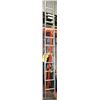 Image 1 : 39) 16FT EXTENSION LADDER