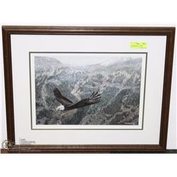 22X26 FRAMED PAUL RANKIN #ED/SIGNED EAGLE PICTURE