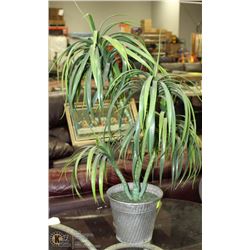 3' GRASSY TOP PALM TREE