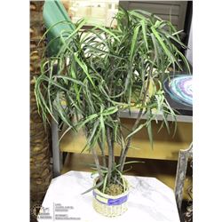 4' RETAN POT PALM TREE