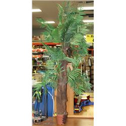 MULTI STEM COCONUT BARK PAL TREE 6'