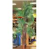 Image 1 : MULTI STEM COCONUT BARK PAL TREE 6'