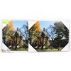 Image 1 : PAIR OF EDMONTON CITY CANVAS PRINTS