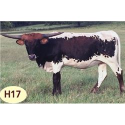 BCR SHOOTING FOR GRACE