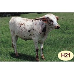 SH HOT RODDIN GIRL 14/6