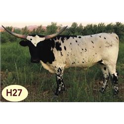 DSCC CANDLELIGHT KILLER