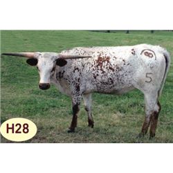 SH RUBY SOLUTION 99/5