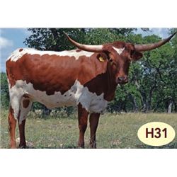 SR 007’S TUXEDO 547