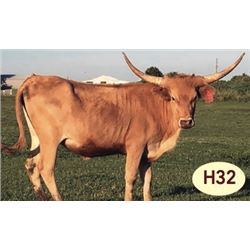 RKJ SWEET POTATO PIE