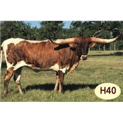 ENTHUSIASTIC ABOUT STARS