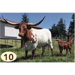 A& S REDHEAD CHARISMA