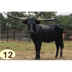 MARSHALL’S CHOCOLATE CHIP