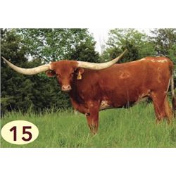 MAGNOLIA’S MARK PC26