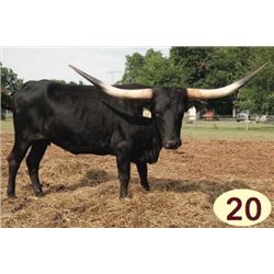 RRR MISS BLACK OPAL 340