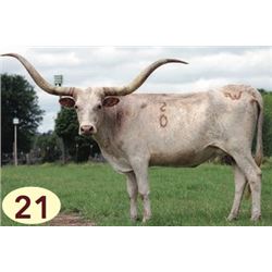 WESTFARMS PERIWINKLE 5/0