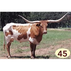 PACIFIC DANCING GIRL