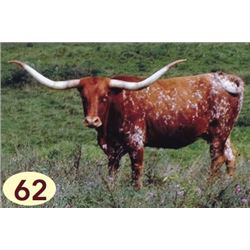 BEERE’S SHOOTING STAR