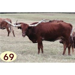 SCRATCH - BRAZOS ROSE TOOTSIE