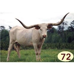 MIJ9 STARBASE 1ST LOVELY