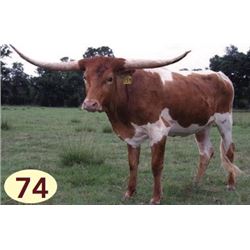 RJF HOP’IN FOR RAIN