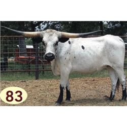 MARSHALL’S BLUE SAPPHIRE