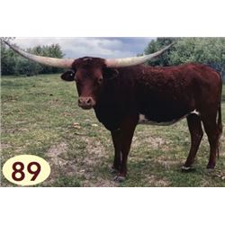 PCC MISS SHINING STAR